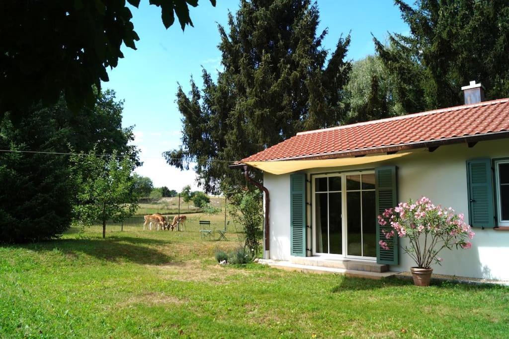 Idylisches Cottage Mit Reh Worthsee Luaran gambar